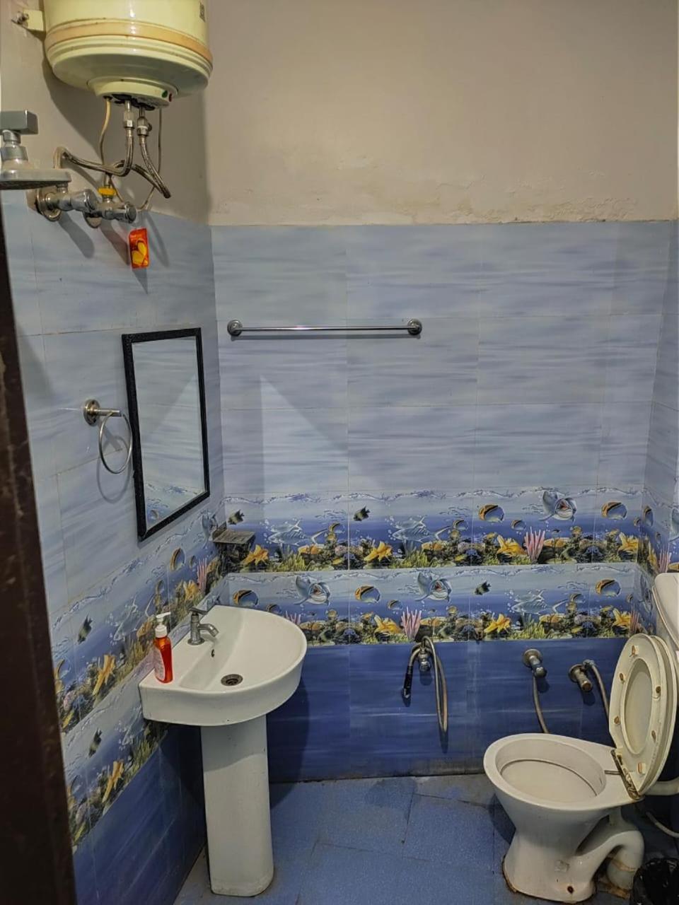 Olt Hostel רישיקש מראה חיצוני תמונה
